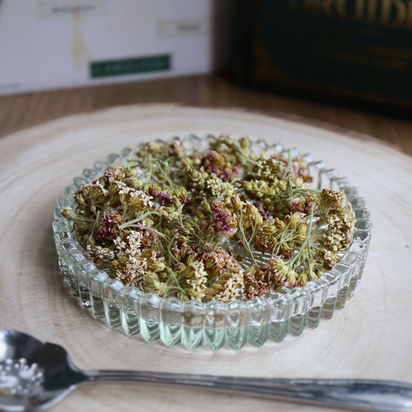 Achillée millefeuille