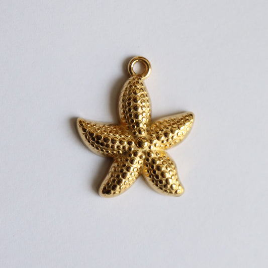 Mix & match☽ Breloque étoile de mer